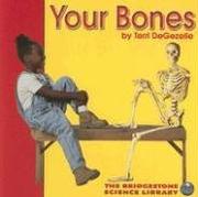 Cover of: Your Bones (Your Body) by Terri Degezelle