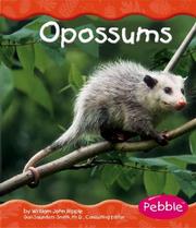 Opossums by William John Ripple