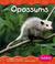 Cover of: Opossums