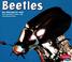 Cover of: Beetles