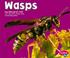 Cover of: Wasps