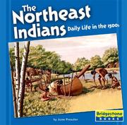 Cover of: The Northeast Indians: Daily Life In The 1500s (Native American Life)