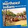 Cover of: The Northeast Indians
