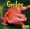Cover of: Geckos (World of Reptiles)