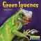 Cover of: Green Iguanas (World of Reptiles)