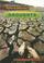 Cover of: Droughts (Natural Disasters)