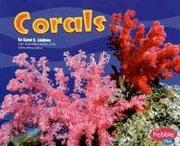 Cover of: Corals by Carol K. Lindeen, Carol K. Lindeen