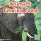 Cover of: Animals Finding Food (First Facts: Animal Behavior)