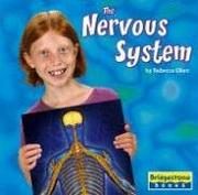 Cover of: The nervous system by Rebecca Olien