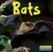 Cover of: Bats