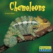 Cover of: Chameleons by Jason Glaser