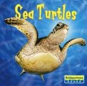 Cover of: Sea turtles