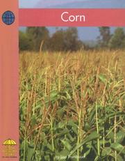Corn by Lisa Trumbauer