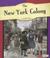 Cover of: The New York Colony