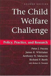 Cover of: The Child Welfare Challenge: Policy, Practice, and Research, Second Edition (Modern Applications of Social Work)