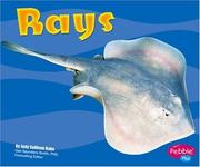 rays-cover