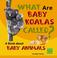 Cover of: What Are Baby Koalas Called?