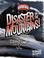 Cover of: Disaster in the Mountains!