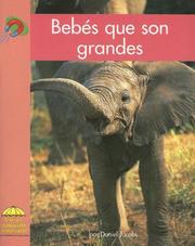 Cover of: Bebes Que Son Grandes/ Big Babies (Yellow Umbrella Books. Science. Spanish.) by Daniel Jacobs