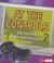 Cover of: At the Controls