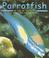 Cover of: Parrotfish (Ocean Life)