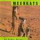 Cover of: Meerkats (Animals)