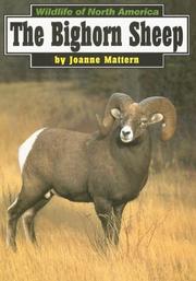 Cover of: The Bighorn Sheep (Wildlife of North America) by Joanne Mattern