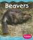 Cover of: Beavers (Wetland Animals)