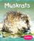 Cover of: Muskrats (Wetland Animals)