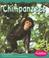 Cover of: Chimpanzees (Rain Forest Animals)