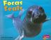 Cover of: Focas/Seals (Bajo Las Olas/Under the Sea)