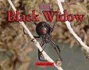 Cover of: Bugs - Black Widow (Bugs)