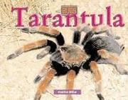 Cover of: Bugs - Tarantula (Bugs) by Heather Miller