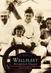 Cover of: Wellfleet, Massachusetts by Daniel Lombardo