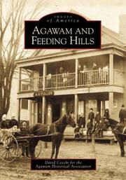 Cover of: Agawam and Feeding Hills by David Cecchi