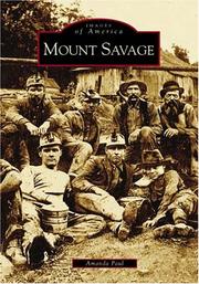 Cover of: Mount Savage | Amanda Paul