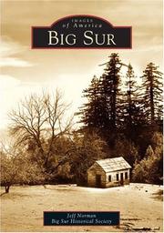 Cover of: Big Sur by Jeff Norman