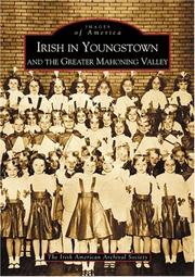 Irish in Youngstown by L. Diane Barnes