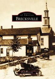 Brecksville by David Borsvold