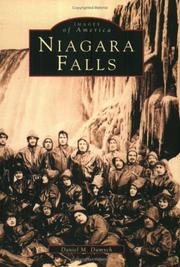 Cover of: Niagara Falls  (NY) by Daniel  M.  Dumych