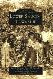 Cover of: Lower Saucon Township | Lee A. Weidner