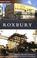 Cover of: Roxbury (MA) (Then and Now)