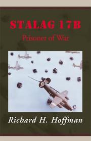 Cover of: Stalag 17B