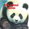 Cover of: Wild Animal Babies (Look-Look)