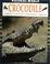 Cover of: Crocodile