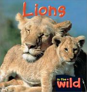 Cover of: Lions (In the Wild)