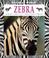 Cover of: Zebra