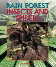 Cover of: Insects and Spiders (Parker, Edward, Rain Forest.) by 