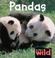 Cover of: Pandas (In the Wild)