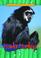 Cover of: Howler Monkeys